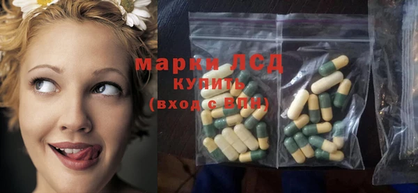индика Алексин