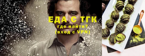 индика Алексин