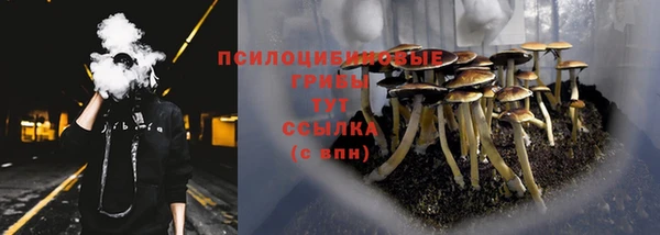 spice Алзамай