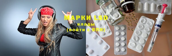 индика Алексин