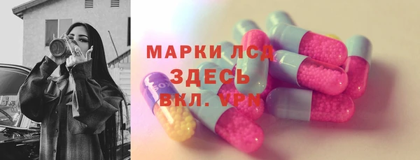 индика Алексин