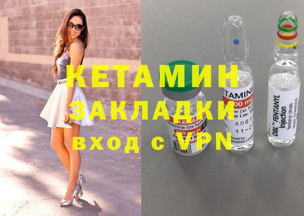 индика Алексин